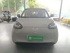 Wuling Binguo 203km Light Enjoy Edition - ფოტო 3