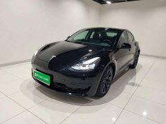 Tesla Model 3 Rear-Wheel Drive - ფოტო 1