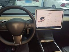 Tesla Model 3 Rear-Wheel Drive - ფოტო 10