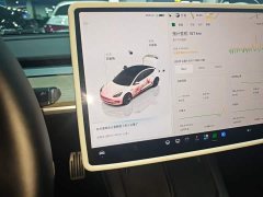 Tesla Model 3 Rear-Wheel Drive - ფოტო 12