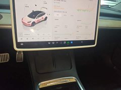 Tesla Model 3 Rear-Wheel Drive - ფოტო 13