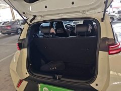BYD Seagull Freedom Edition - ფოტო 19