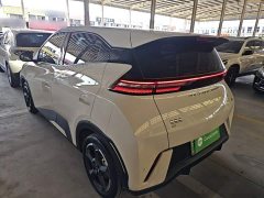 BYD Seagull Freedom Edition - ფოტო 5
