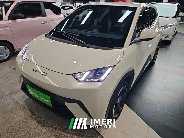 BYD Seagull Freedom Edition - ავტომობილი ჩინეთიდან