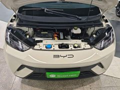 BYD Seagull Freedom Edition - ფოტო 16