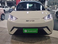 BYD Seagull Freedom Edition - ფოტო 3