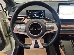 BYD Seagull Freedom Edition - ფოტო 7