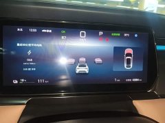 BYD Song L EV 662km Excellence Edition - ფოტო 12