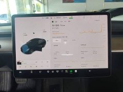 Tesla Model 3 Standard Range RWD Upgrade - ფოტო 8