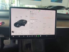 Tesla Model 3 Standard Range RWD Upgrade - ფოტო 9