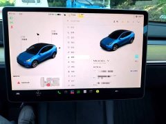 Tesla Model Y 2021 Standard Range RWD - ფოტო 8