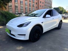 Tesla Model Y 2021 Standard Range RWD - ფოტო 1