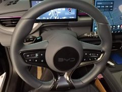 BYD Dolphin 06GT Smart Drive 505 Wave Plus Edition - ფოტო 11