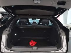 BYD Dolphin 06GT Smart Drive 505 Wave Plus Edition - ფოტო 19