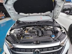 Volkswagen Sagitar 300TSI DSG Excellence Edition - ფოტო 20