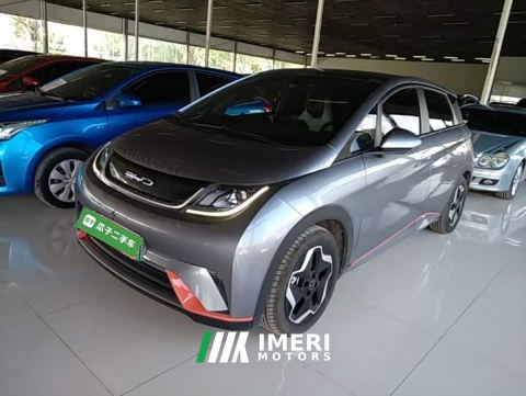 2023 BYD Dolphin 405km Fashion Edition - car from China