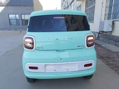 FAW Besturn Xiaoma 2024 170km Vitality Edition - ფოტო 6