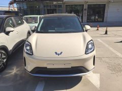 Wuling Bingguo S 2025 325km Deluxe Edition - ფოტო 3