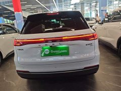Geely Galaxy Starship 7 120km Pilot Edition - ფოტო 6