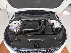 Geely Emgrand 1.5L Edition - ფოტო 16