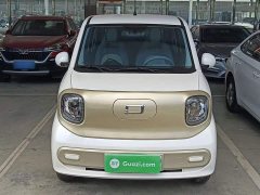 FAW Besturn Xiaoma 222km Dynamic Edition - ფოტო 3