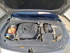 Geely Xingrui 2.0T Diesel Luxury Plus - ფოტო 20