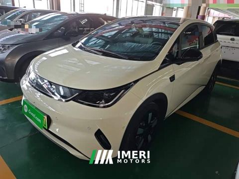 2025 BYD Dolphin Smart Drive 410km Fashion Edition - car from China