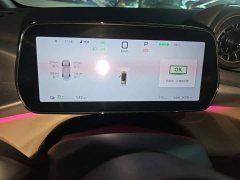BYD Dolphin Smart Drive 410km Fashion Edition - ფოტო 12