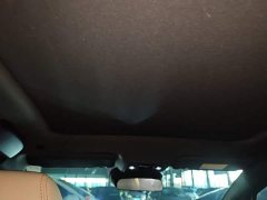 BYD Dolphin Smart Drive 410km Fashion Edition - ფოტო 18