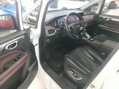 GAC Aion M6 2023 PRO 270T DCT Luxury - ფოტო 16