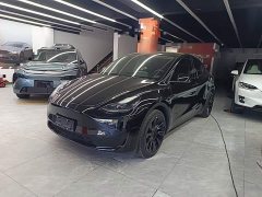 Tesla Model Y Rear-Wheel Drive - ფოტო 1