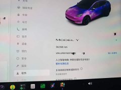 Tesla Model Y Rear-Wheel Drive - ფოტო 12
