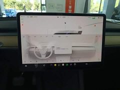 Tesla Model Y Rear-Wheel Drive - ფოტო 13