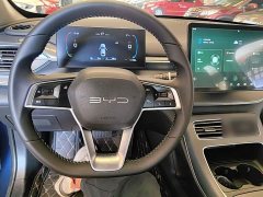 BYD Destroyer 05 Champion Edition DM-i 55KM Luxury - ფოტო 11