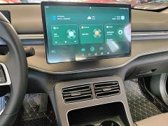 BYD Destroyer 05 Champion Edition DM-i 55KM Luxury - ფოტო 13