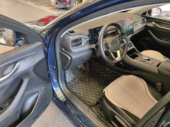 BYD Destroyer 05 Champion Edition DM-i 55KM Luxury - ფოტო 16