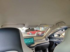 BYD Destroyer 05 Champion Edition DM-i 55KM Luxury - ფოტო 18