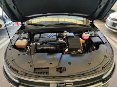 BYD Destroyer 05 Champion Edition DM-i 55KM Luxury - ფოტო 20