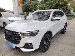 Haval H6 National Trend Edition 1.5T Automatic Urban Version - ფოტო 1