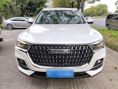 Haval H6 National Trend Edition 1.5T Automatic Urban Version - ფოტო 3