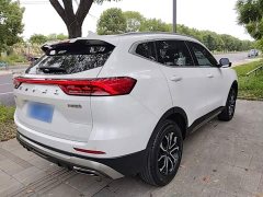 Haval H6 National Trend Edition 1.5T Automatic Urban Version - ფოტო 7