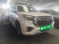 Haval H9 2.0T Gasoline AWD Smart Comfort 5-Seater - ფოტო 6
