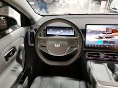Leapmotor B01 650 Pleasure Edition - ფოტო 11