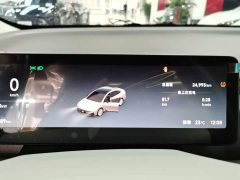 Leapmotor B01 650 Pleasure Edition - ფოტო 12