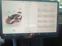 Tesla Model 3 2022 Rear-Wheel Drive - ფოტო 12