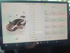 Tesla Model 3 2022 Rear-Wheel Drive - ფოტო 13