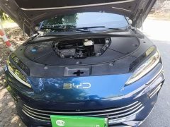 BYD Song Plus New Energy New Energy DM-i 112KM Prestige - ფოტო 20