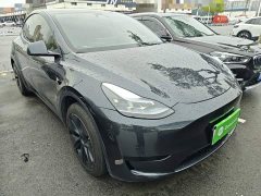 Tesla Model Y Rear-Wheel Drive - ფოტო 4