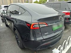 Tesla Model Y Rear-Wheel Drive - ფოტო 5