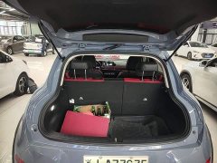 ORA Good Cat GT Mulan Edition 401km Luxury - ფოტო 19